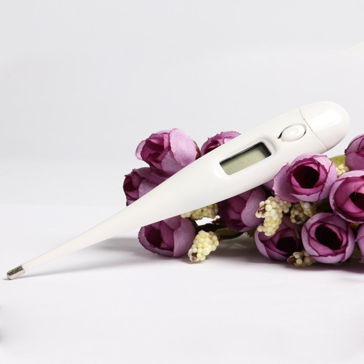 Electronic Body thermometer (Celsius only) - Image 2