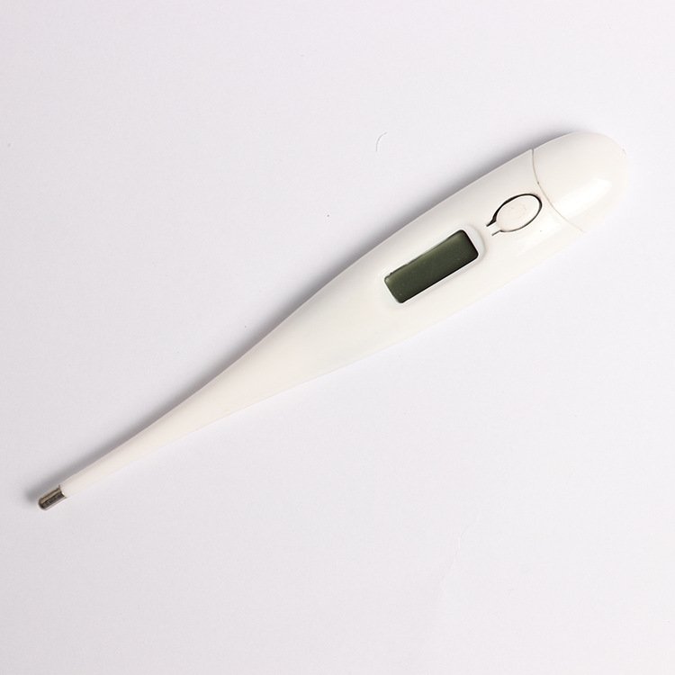 Electronic Body thermometer (Celsius only) - Image 3