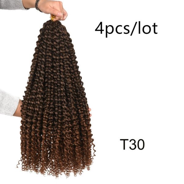 Passion Twist Crochet Braids Spring Twist Hair Extensions - Image 4