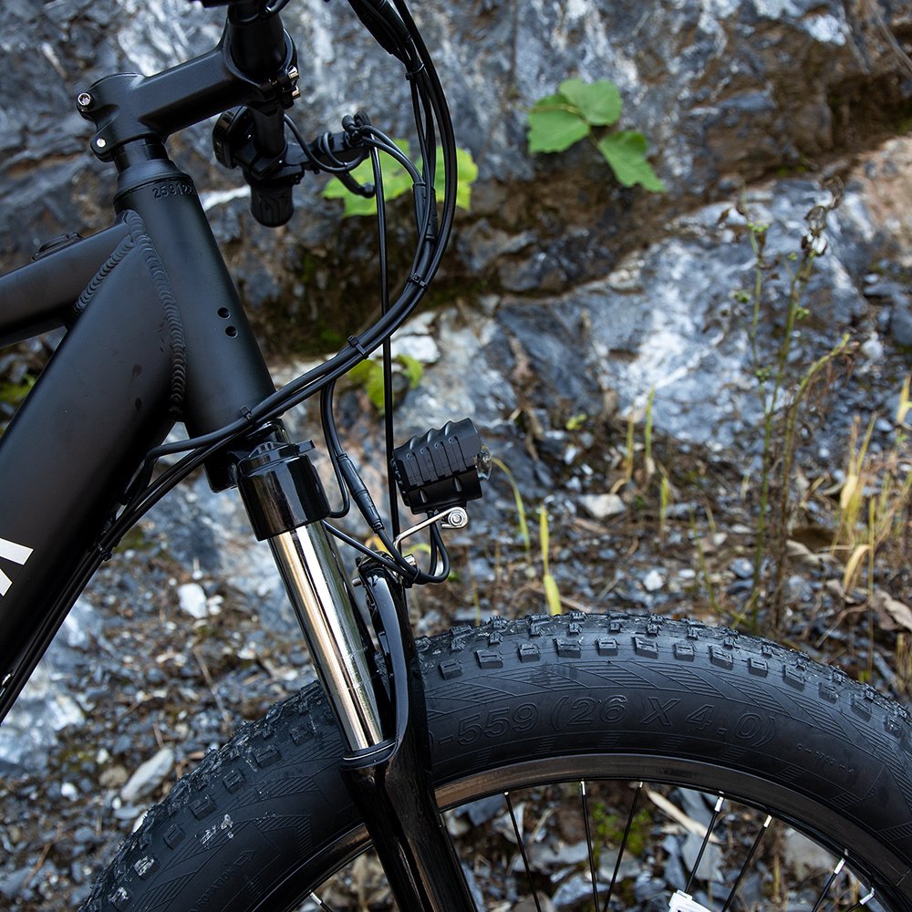 1000W Fat Tire Electric Bike for Adults - Image 2