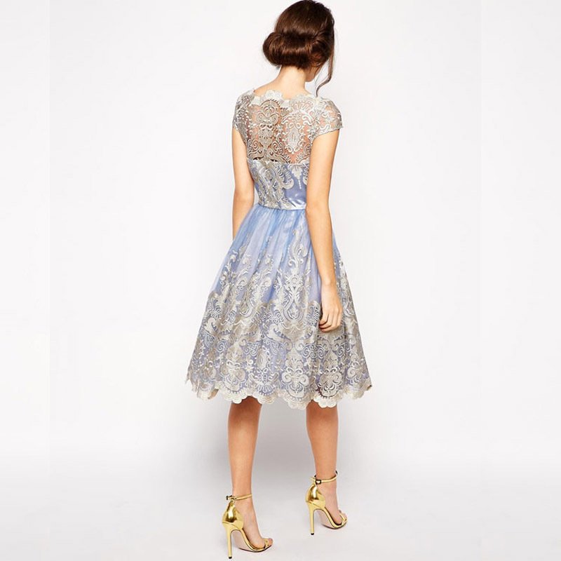 Elegant Lace A-Line Dress with Sheer Back - Image 4