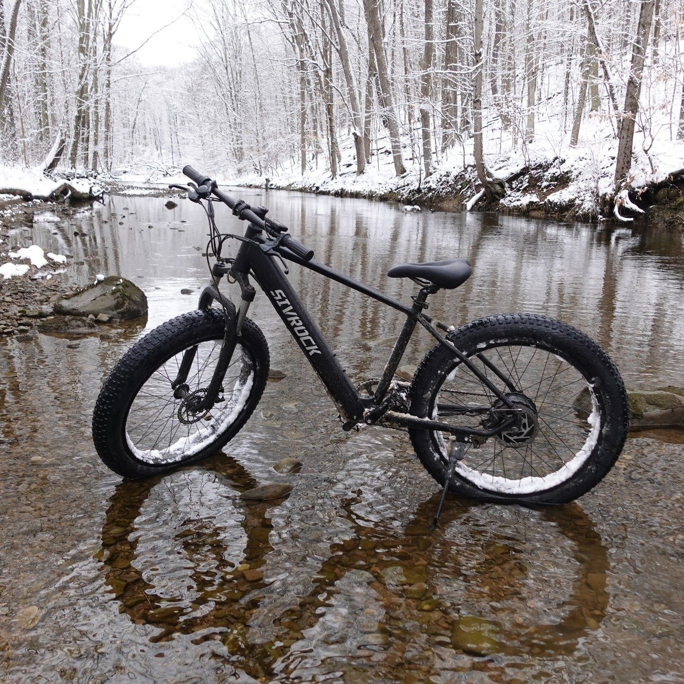 1000W Fat Tire Electric Bike for Adults - Image 5
