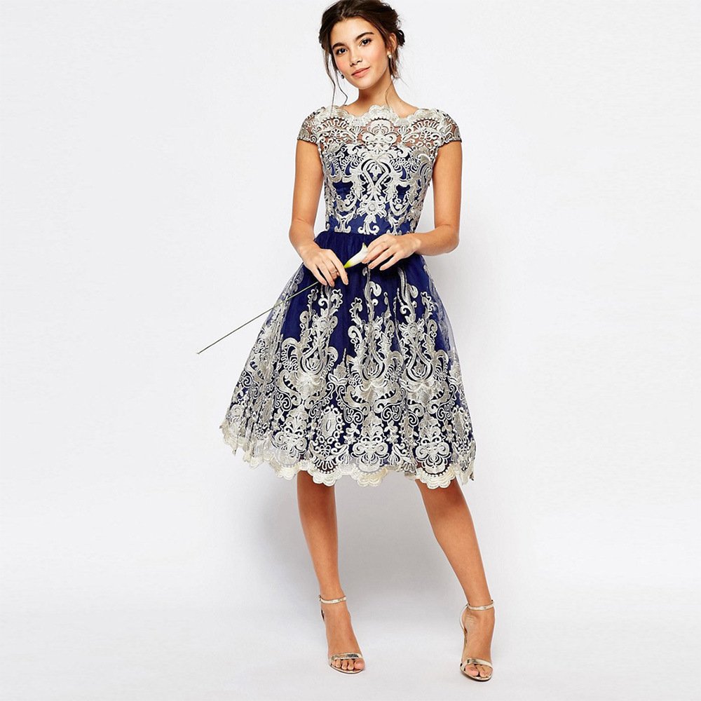 Elegant Lace A-Line Dress with Sheer Back - Image 3