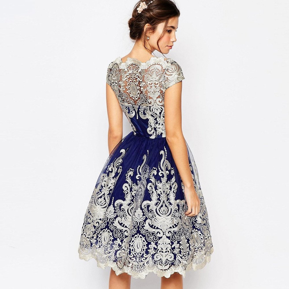Elegant Lace A-Line Dress with Sheer Back - Image 2