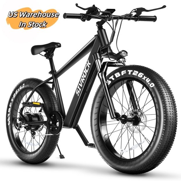 1000W Fat Tire Electric Bike for Adults