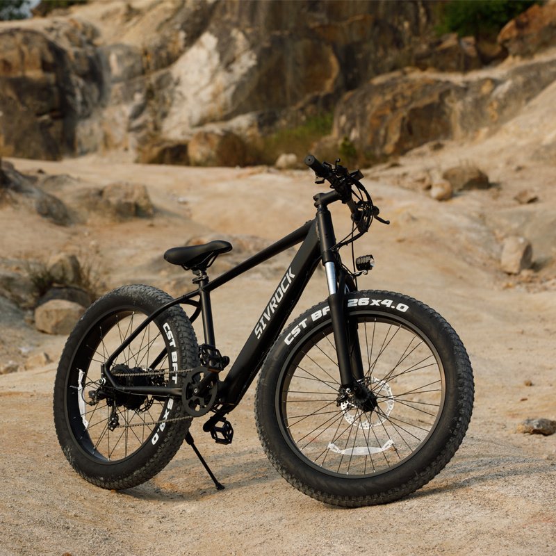 1000W Fat Tire Electric Bike for Adults - Image 6