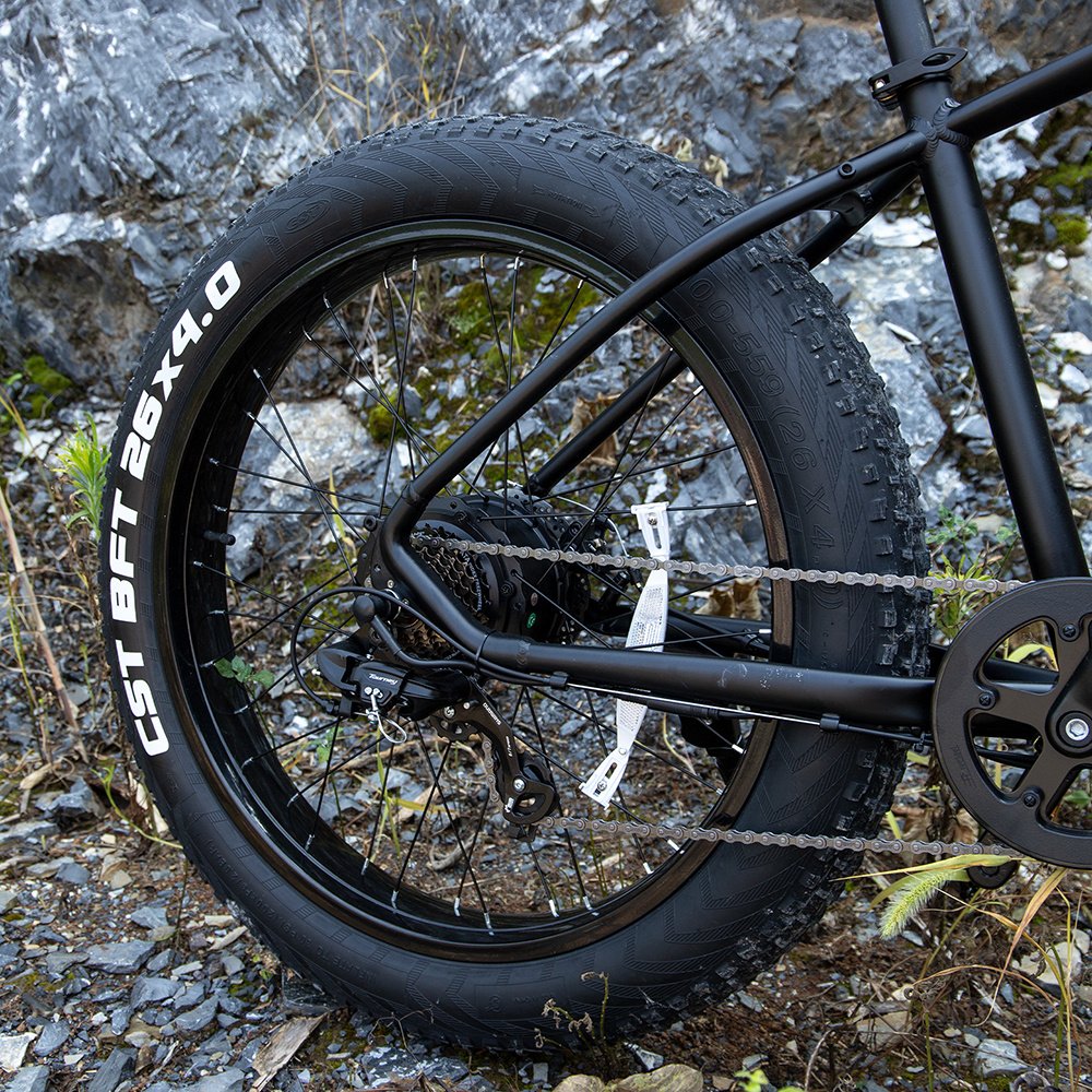 1000W Fat Tire Electric Bike for Adults - Image 9