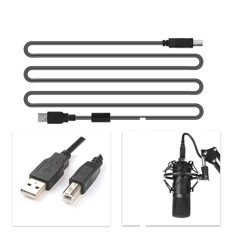 Professional Microphone Set with Stand - Image 4