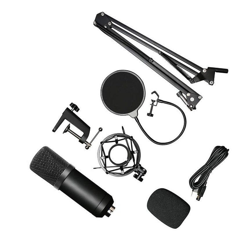 Professional Microphone Set with Stand - Image 2