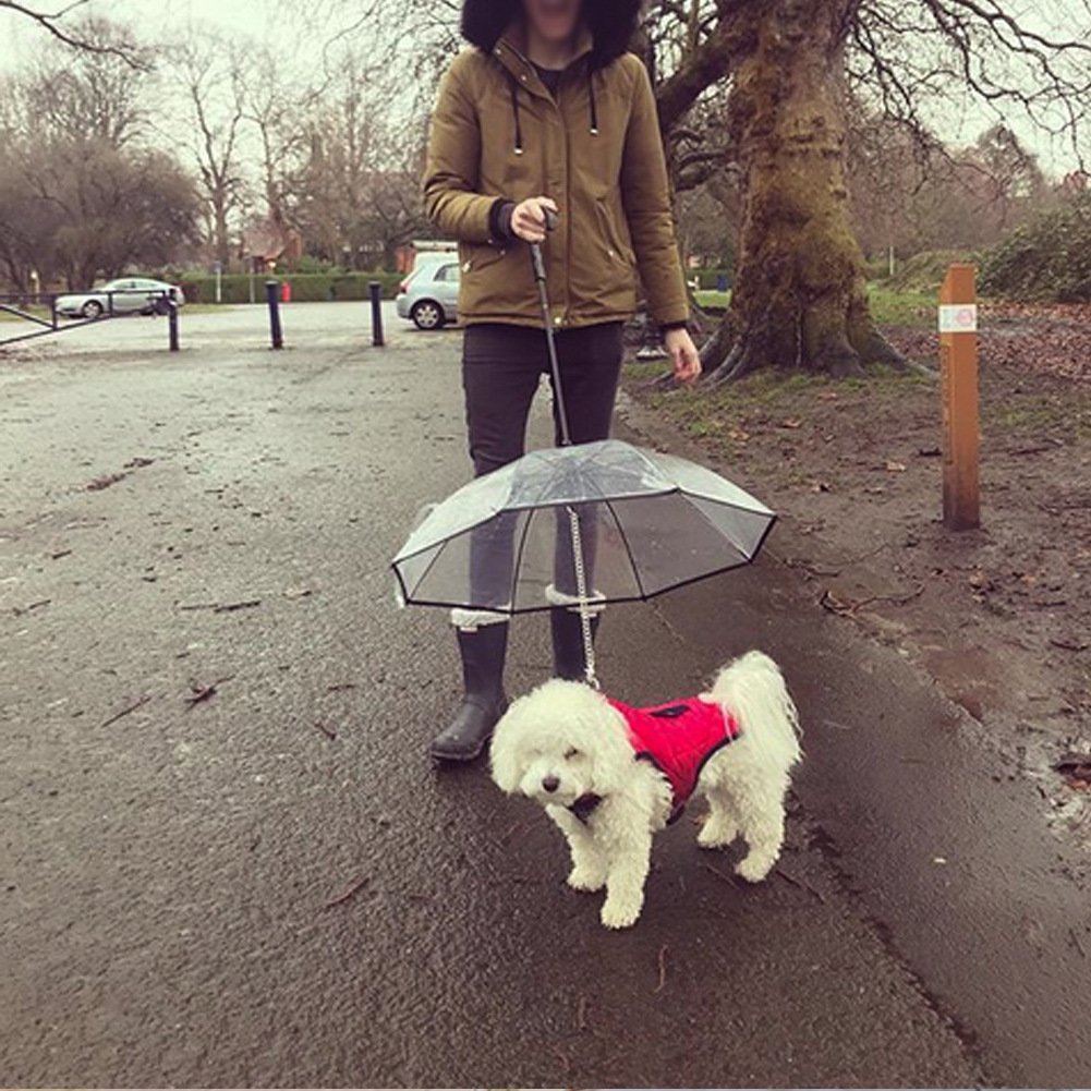 Transparent Dog Umbrella with Leash Handle - Image 4