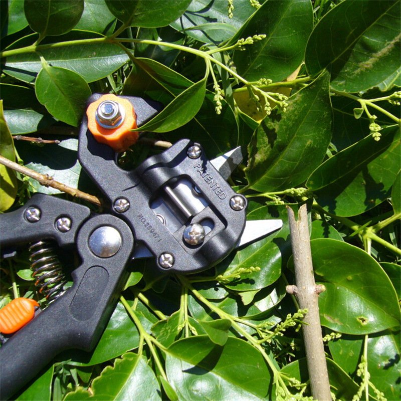 Precision Grafting Shears for Gardening - Image 4