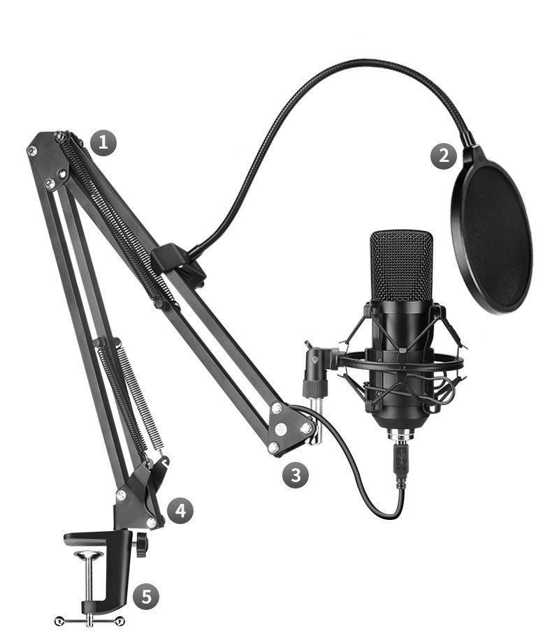 Professional Microphone Set with Stand - Image 3