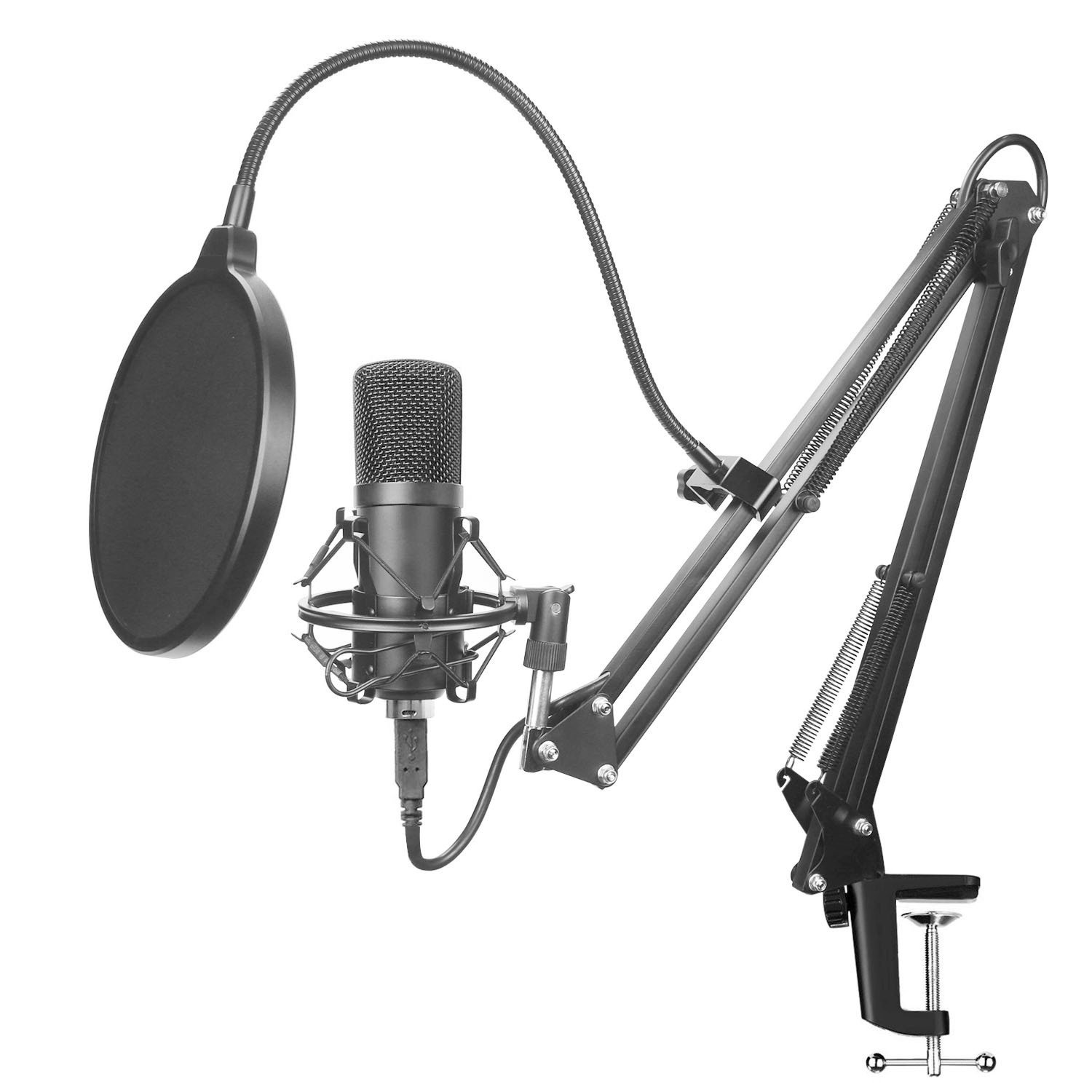 Professional Microphone Set with Stand
