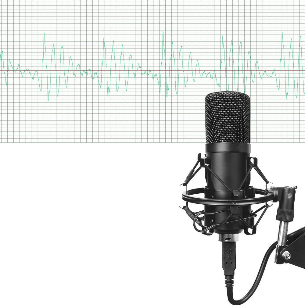 Professional Microphone Set with Stand - Image 5