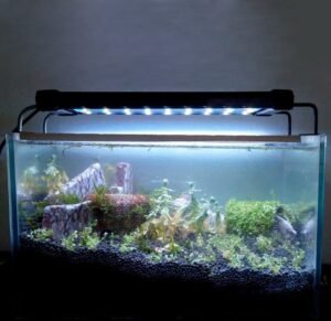 LED Light for Aquarium - Fish Tank Supplies