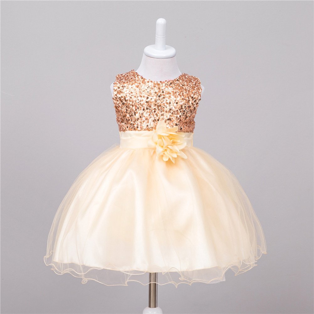 Girl Sequin Flower Wedding Princess Dress