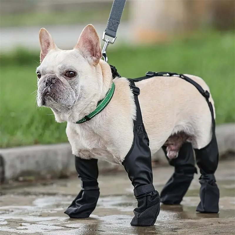 Waterproof Adjustable Outdoor Dog Boots - Image 10